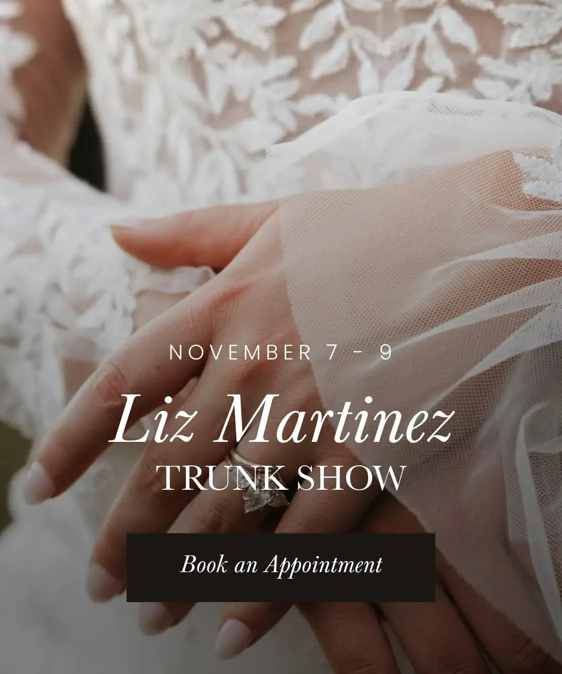 Liz Martinez Trunk Show